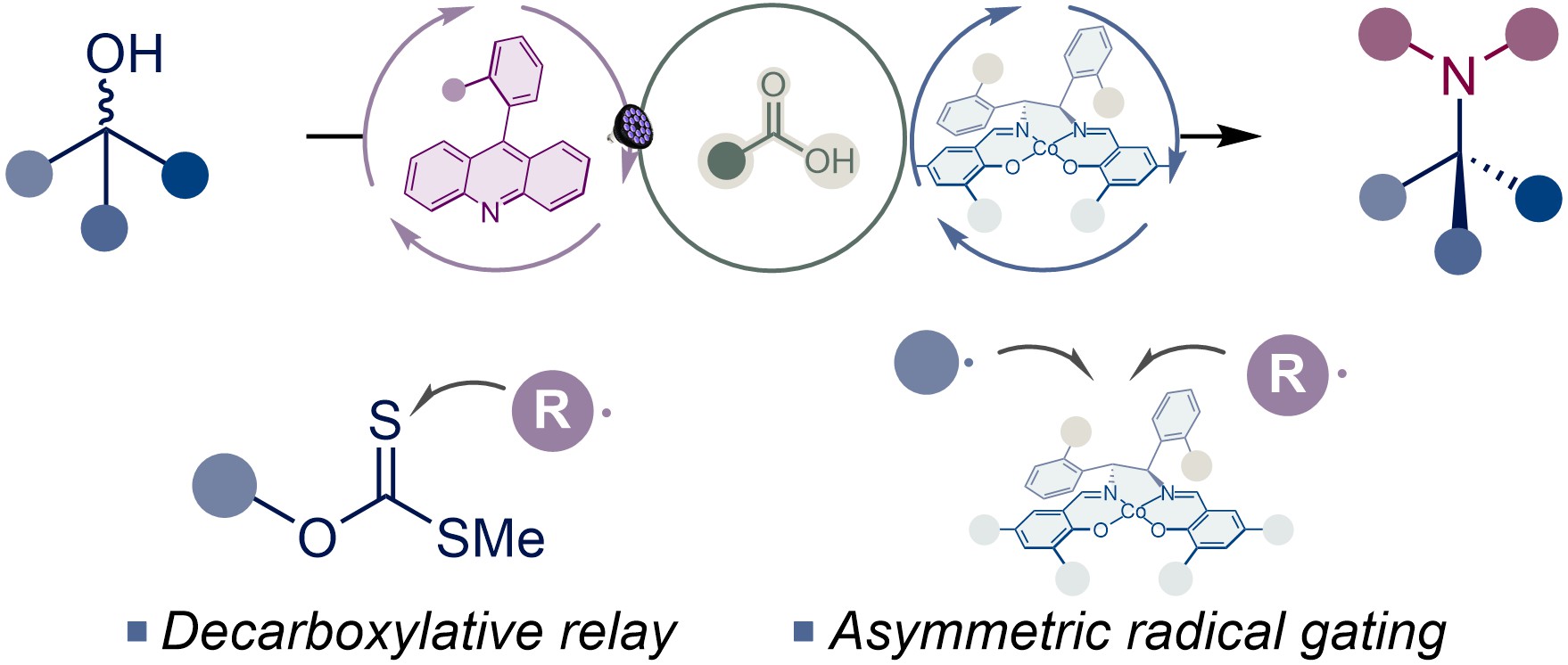 Enantioconvergent Deoxygenative Amination via Xanthate Esters by a Decarboxylative Relay