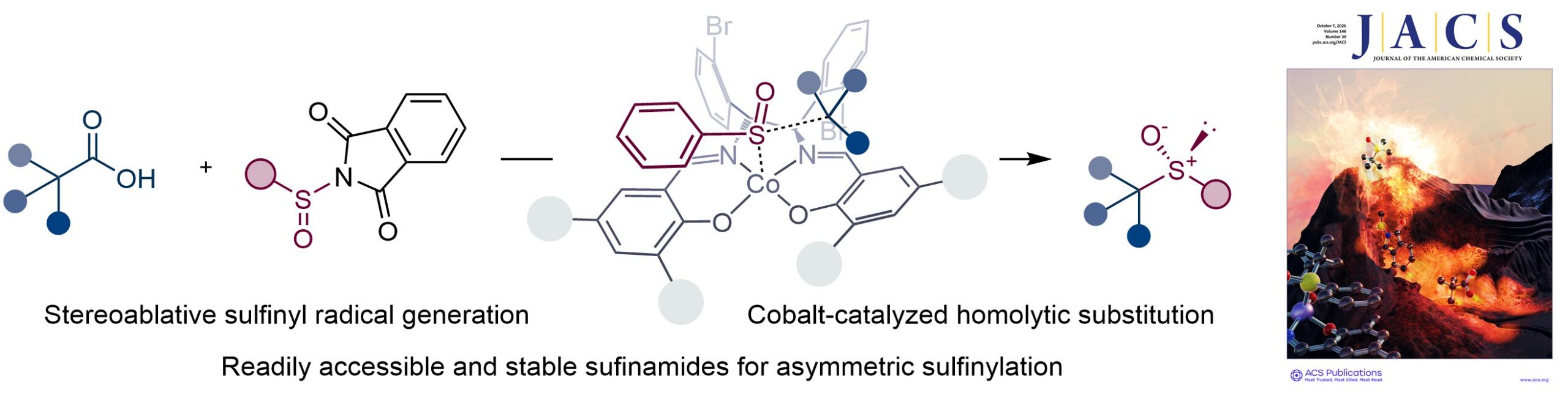 Asymmetric Radical Sulfinylation via Stereoablative Sulfinyl Radical Generation